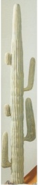 Kaktus Mex 210