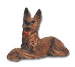 Pies owczarek niemiecki K189A