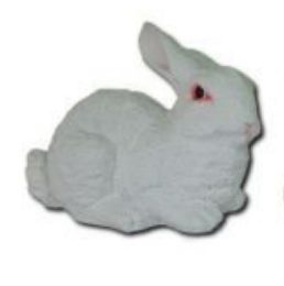 Rabbit white laying K756