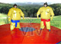 Sumo Wrestling
