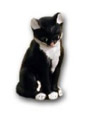 Katze sitzend K461
