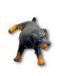 Hund am Pinkeln K633