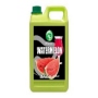 Bubble Tea Syrup Watermelon Premium Taiwan
