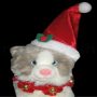 Christmas Set for Pets