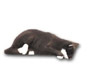 Katze liegend K601