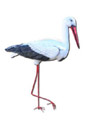 Storch K720