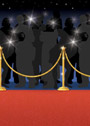 Deko window blind scene setter Hollywood Red Carpet