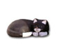 Katze liegend K238