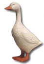Gans K294A