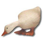 Gans K294C