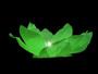 Water lantern lotus flower green