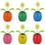 Solarblumen Sonnenblume Farbmix sortiert