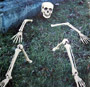 Skeletal parts for lawn decoration