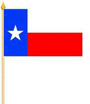 Flag at wood staff Texas