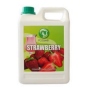 Bubble Tea Syrup strawberry Premium Taiwan