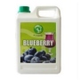 Bubble Tea Syrup blueberry Premium Taiwan