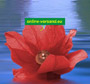 Wasserlaterne Lotusblume rot