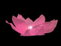 Wasserlaterne Lotusblume pink