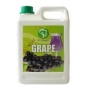 Bubble Tea Syrup Grape Premium Taiwan