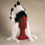 Chief feather headdress
