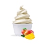 Soft ice cream powder mango 100% vegan